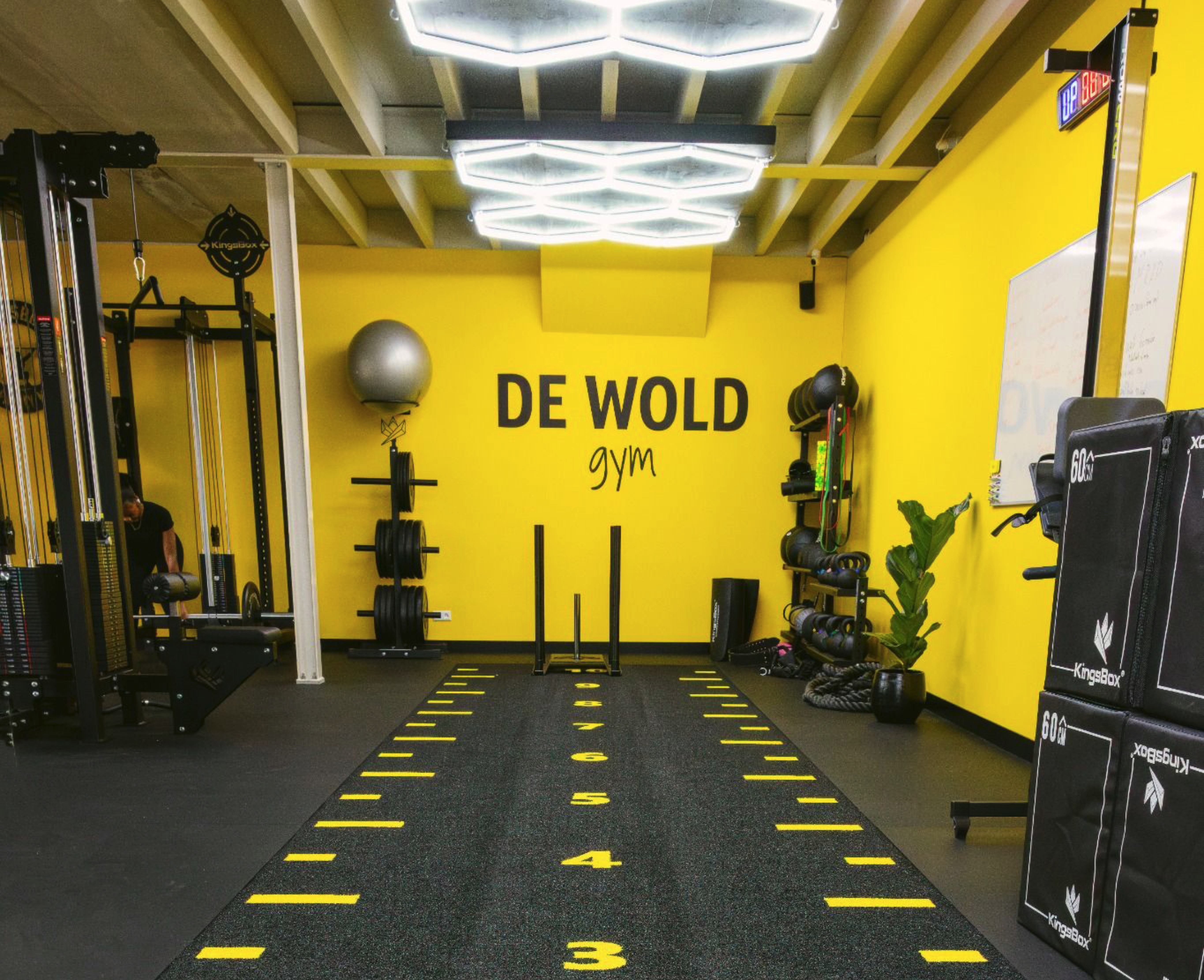Gymzaal van DE WOLD Gym in Almere Oosterwold met moderne kracht- en conditieapparatuur